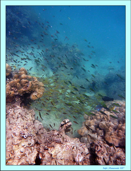 2011 - 03 - Koh Kradan 055